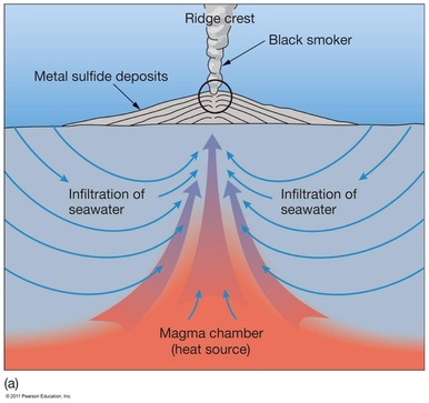 hydrothermal vent diagram